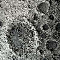 ASPERA SERİSİ 3'LÜ DEKORATİF DUVAR AKSESUARI